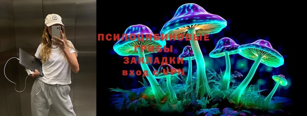 молекула духа Приозерск