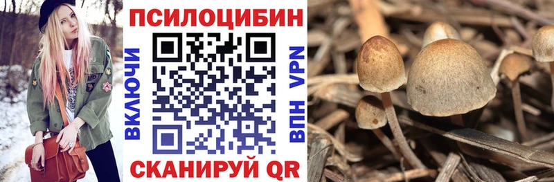 даркнет сайт  Новый Оскол  Галлюциногенные грибы прущие грибы 