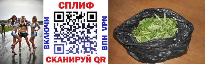 где найти   Новый Оскол  Марихуана White Widow 